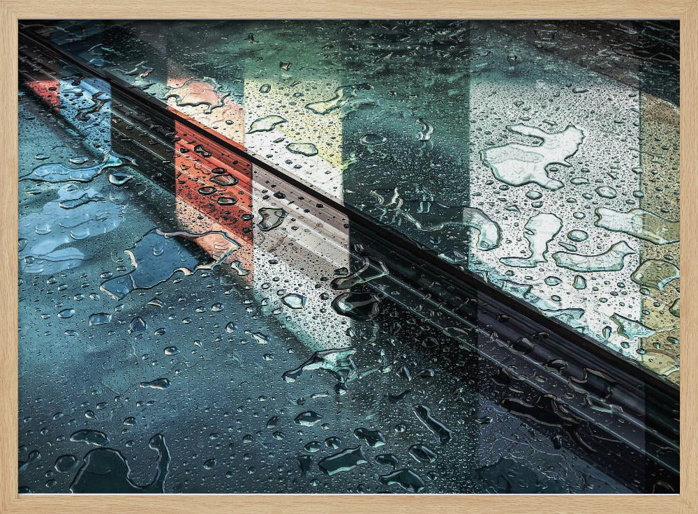 Onhandelbaar | Poster