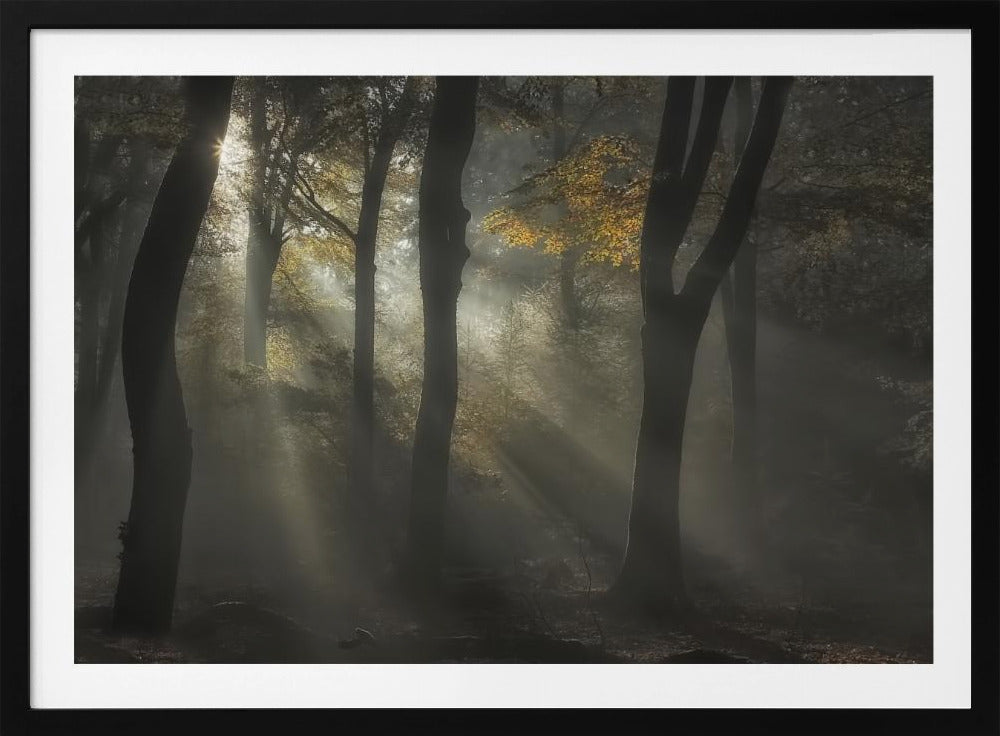 Sunbeam | Poster