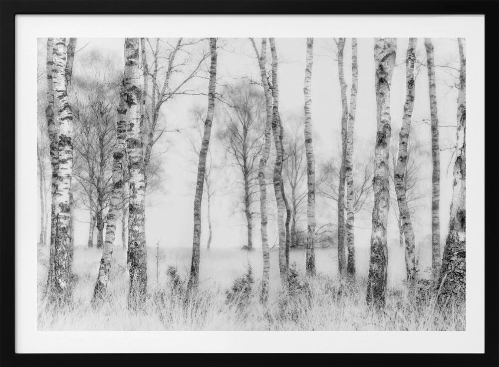 Black and white | Poster