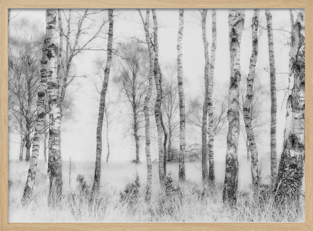 Black and white | Poster