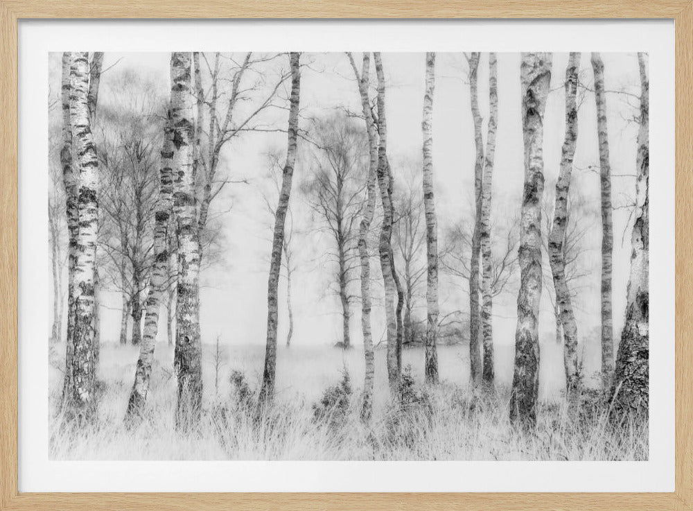 Black and white | Poster