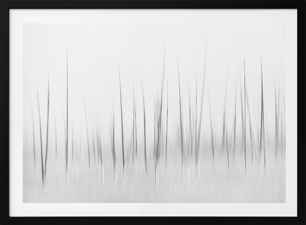 Winterlandschap in Yellowstone | Poster