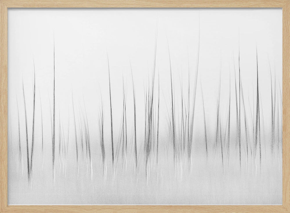 Winterlandschap in Yellowstone | Poster