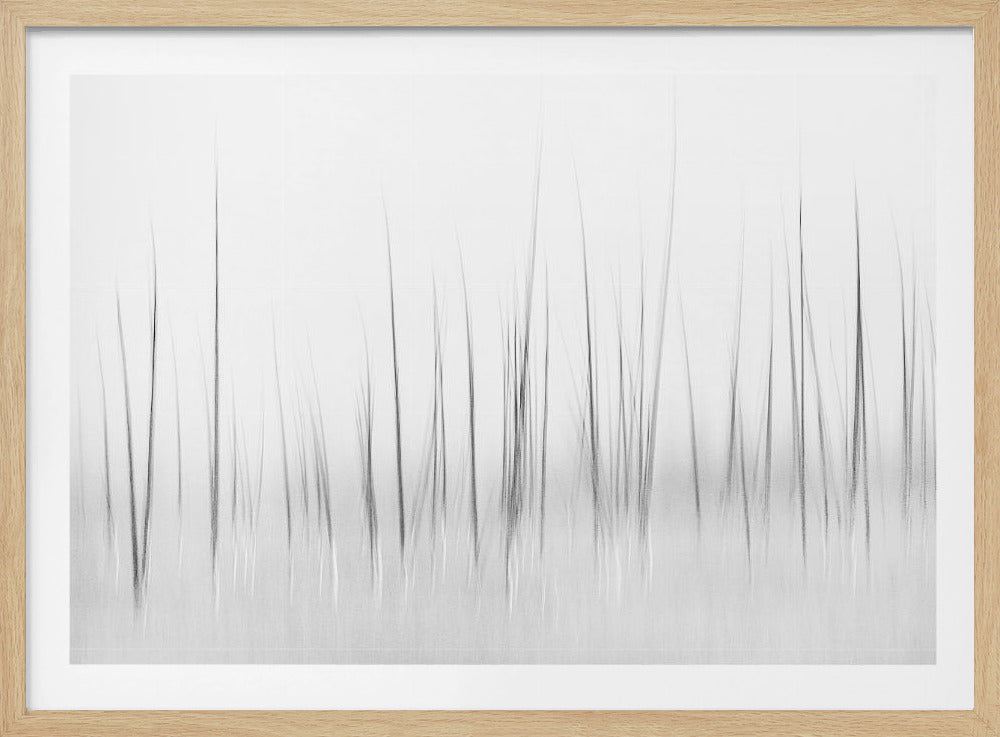 Winterlandschap in Yellowstone | Poster