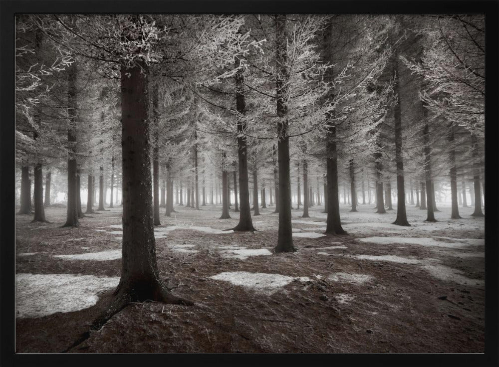 Het begin van de winter | Poster