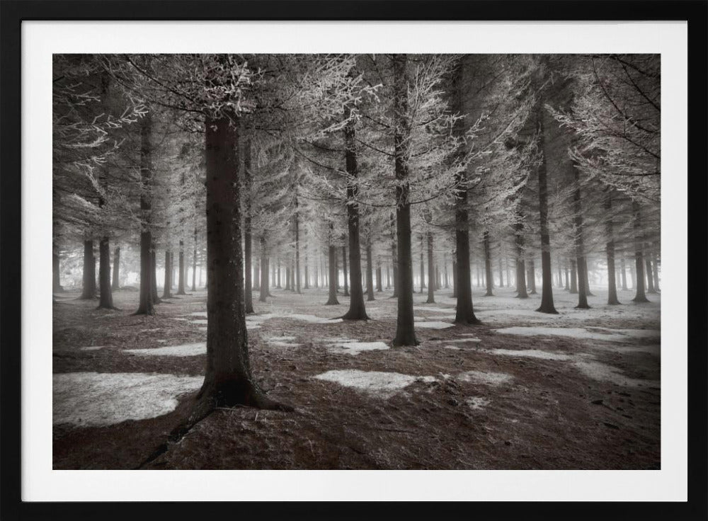 Het begin van de winter | Poster