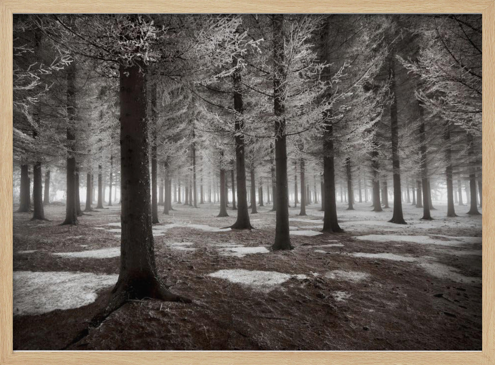 Het begin van de winter | Poster