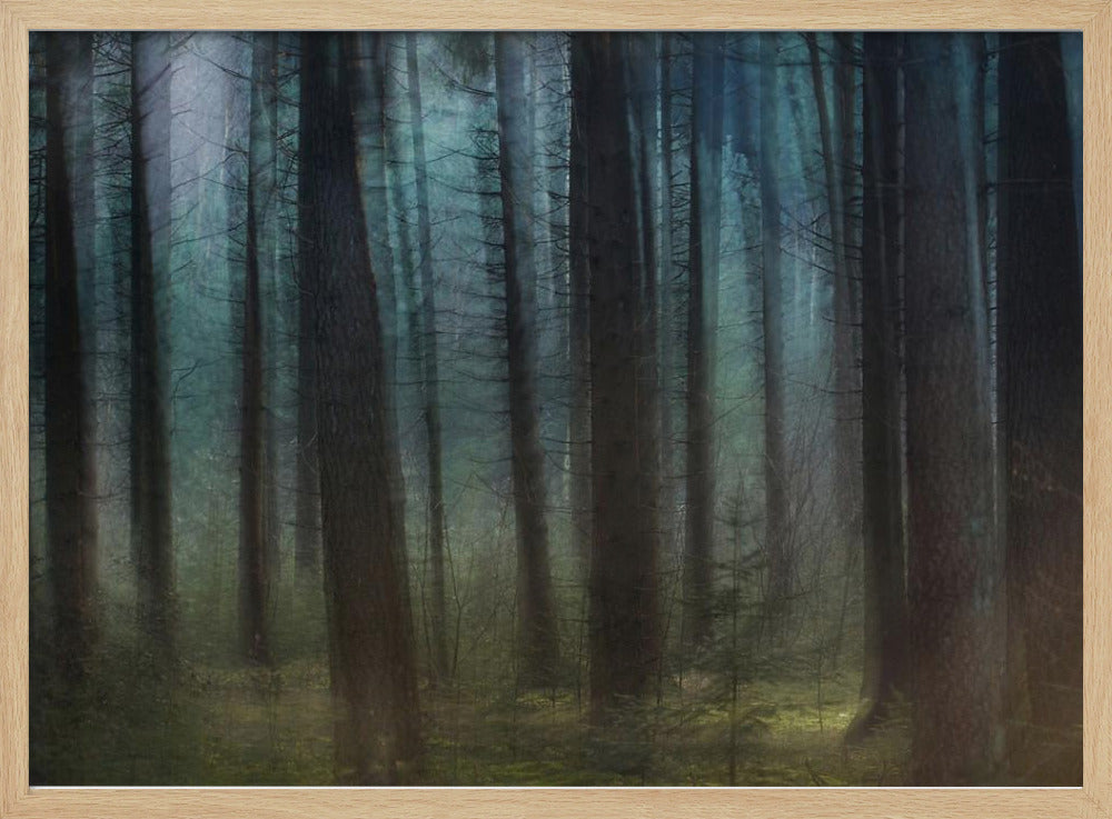 Blauw licht | Poster