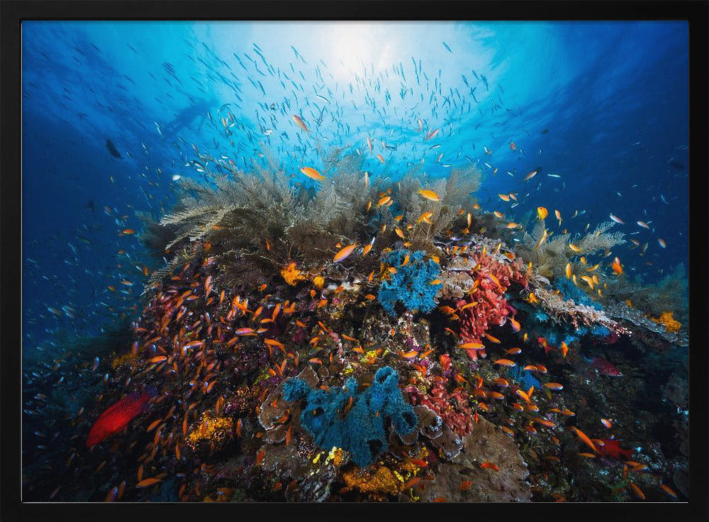 Apnea | Poster