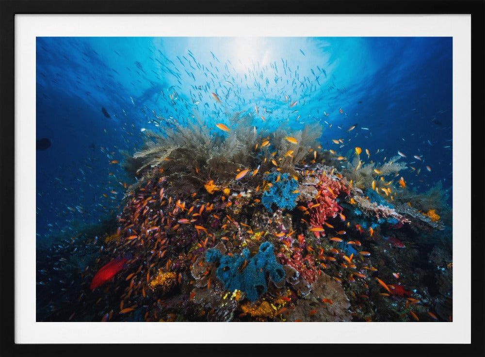 Apnea | Poster
