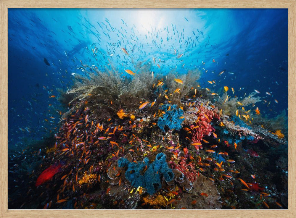 Apnea | Poster