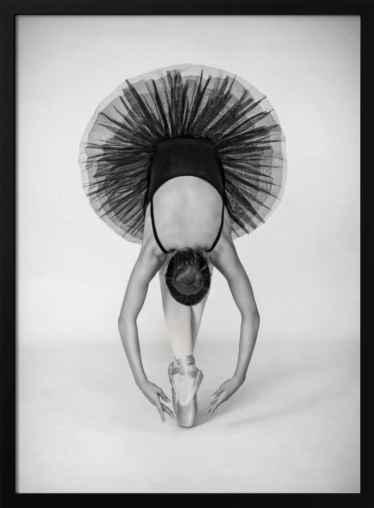 Ballettechniek | Poster