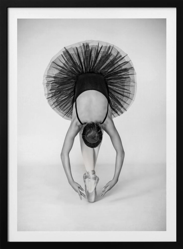 Ballettechniek | Poster