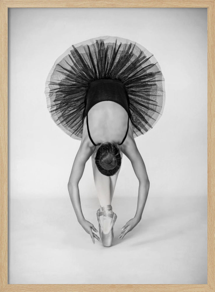 Ballettechniek | Poster