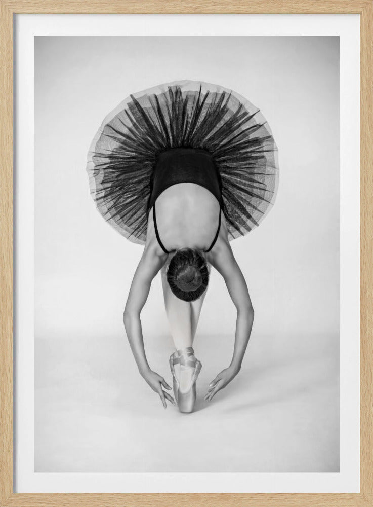 Ballettechniek | Poster
