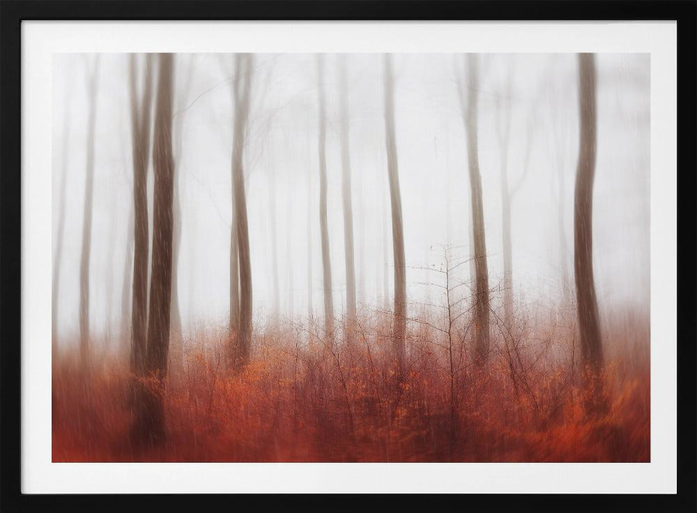 Eindeloze bossen | Poster