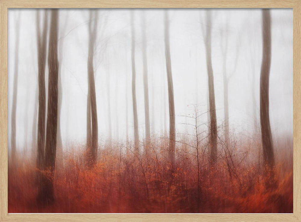 Eindeloze bossen | Poster