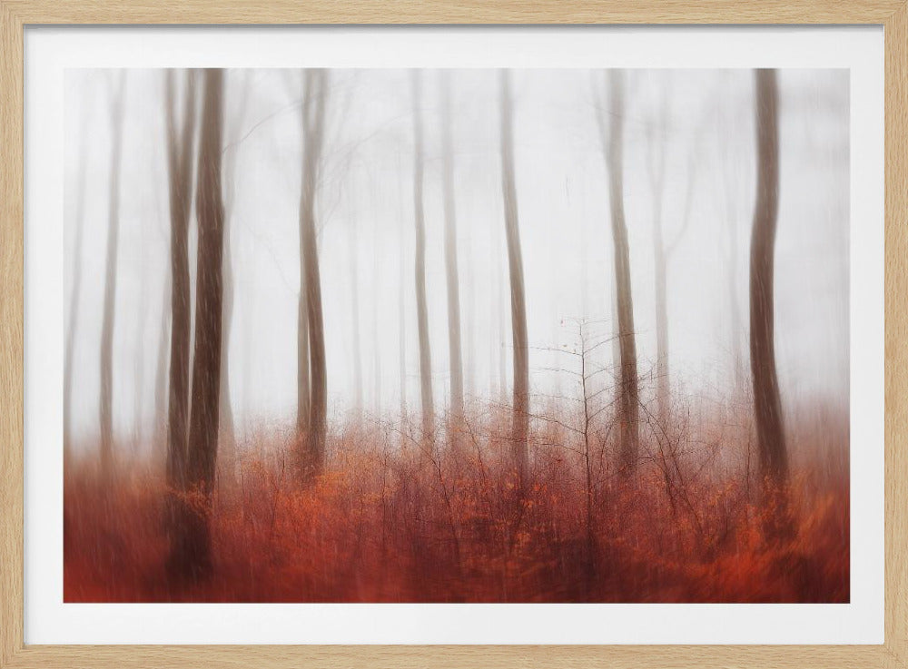 Eindeloze bossen | Poster