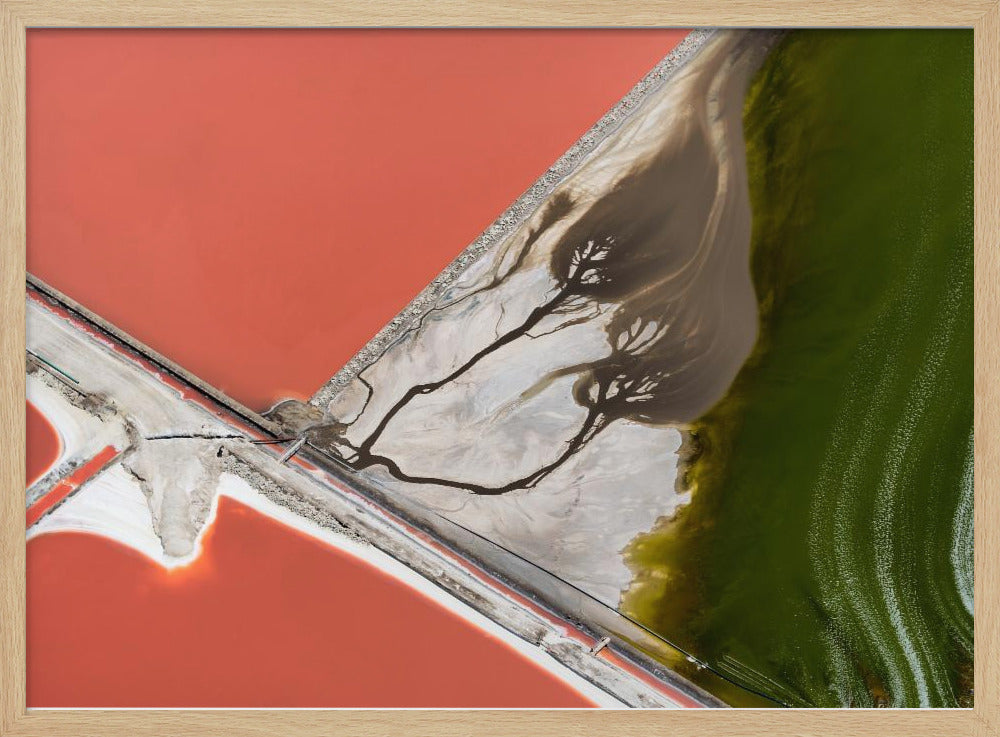 Schilderij van de natuur | Poster