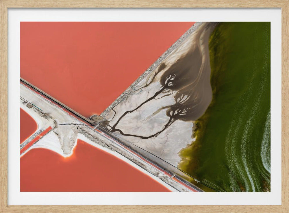 Schilderij van de natuur | Poster