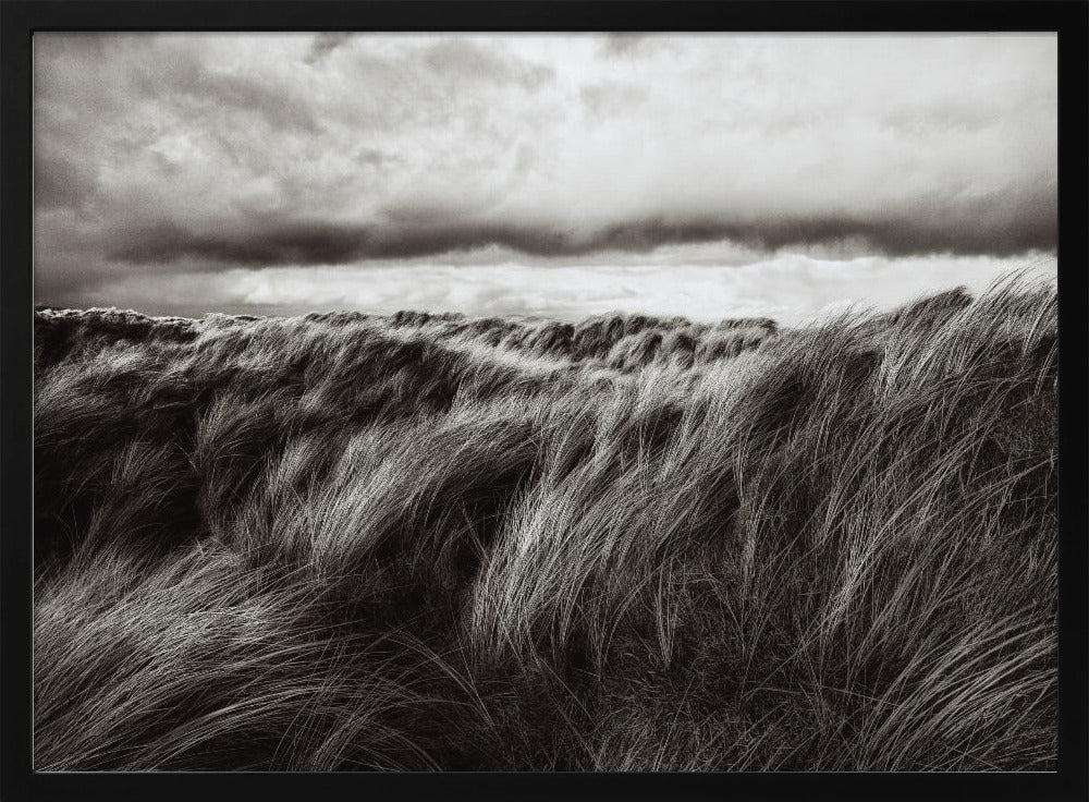 Duinen van gras | Poster