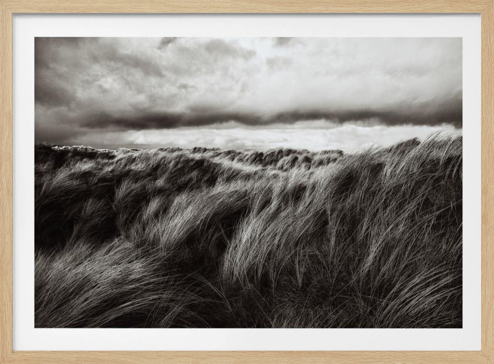 Duinen van gras | Poster