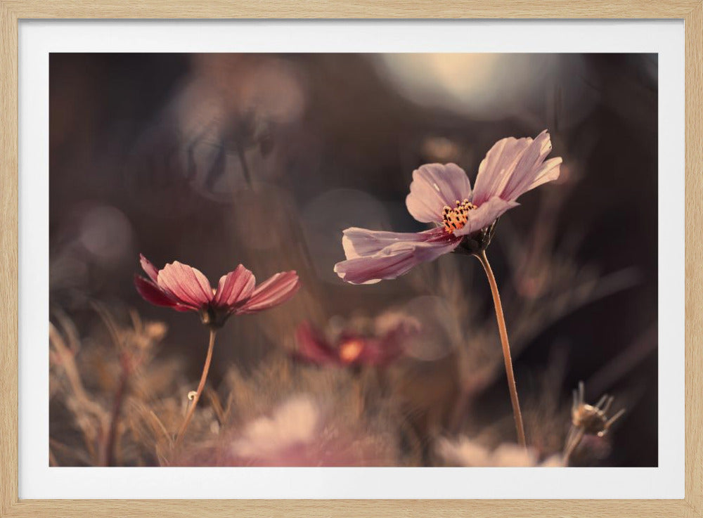Bloemen van onschuld | Poster