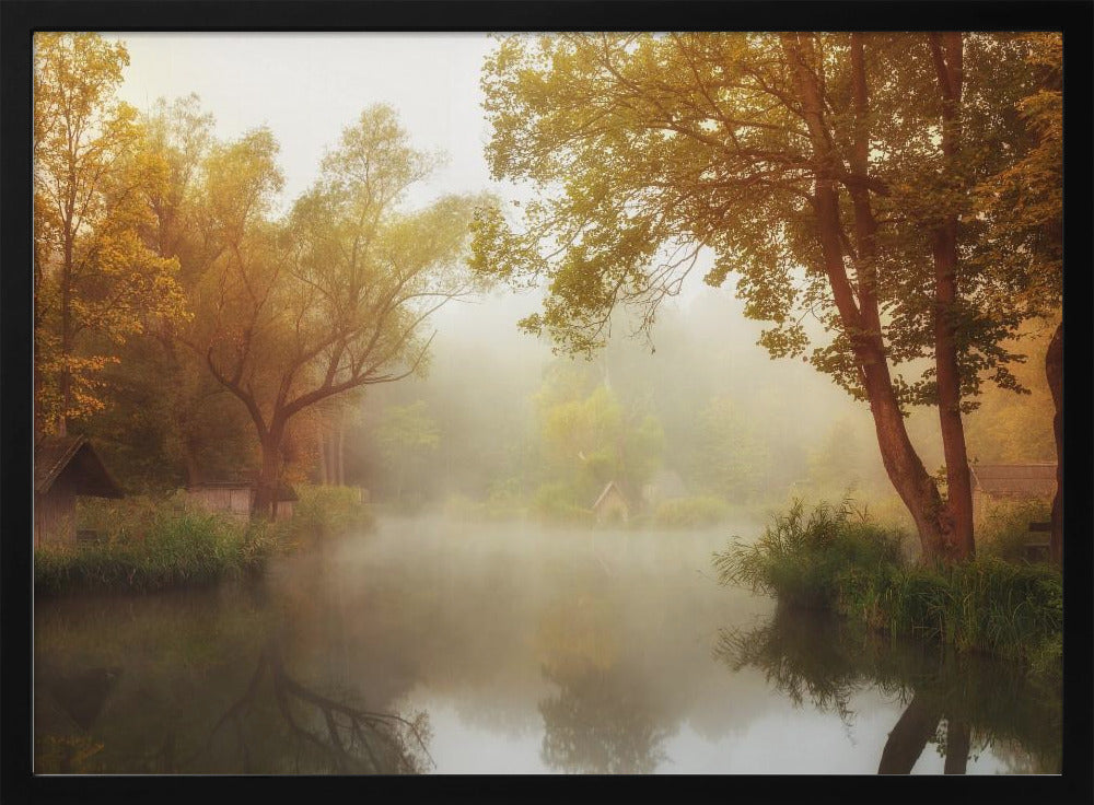 Mistige herfst | Poster
