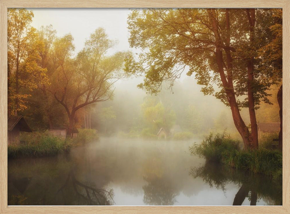 Mistige herfst | Poster