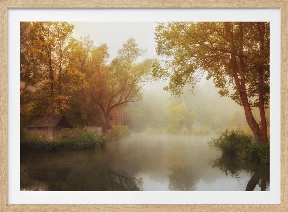 Mistige herfst | Poster