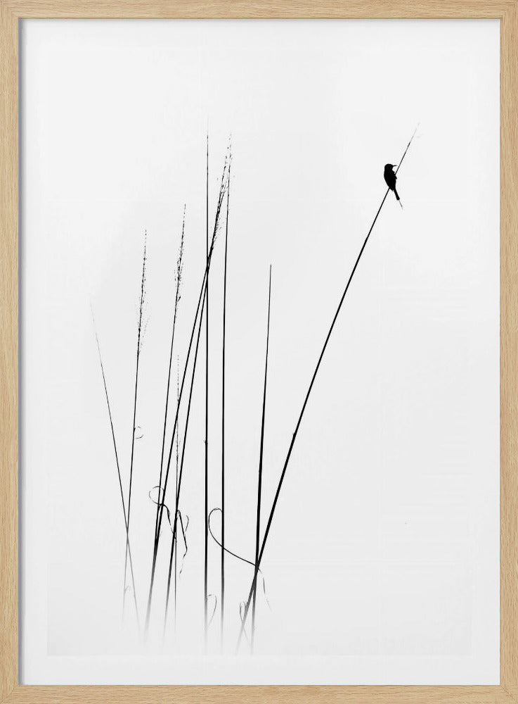 een sabbatical | Poster