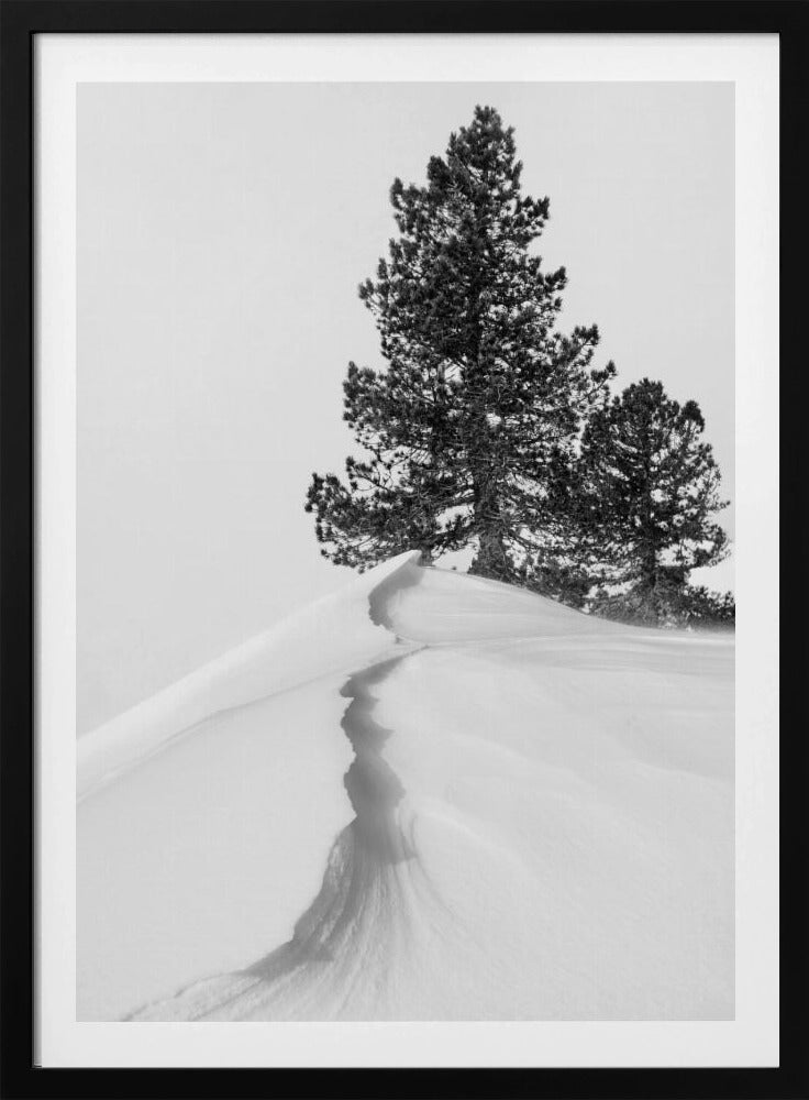 Over sneeuw en vormen | Poster