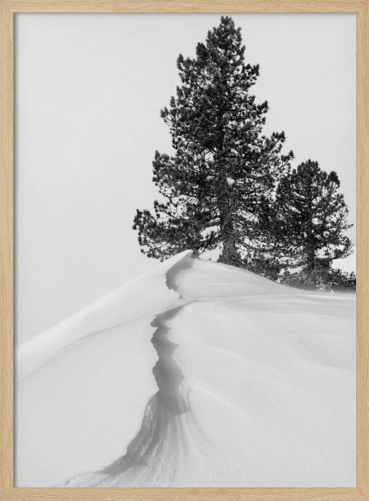 Over sneeuw en vormen | Poster