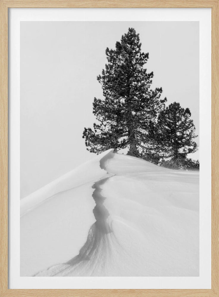 Over sneeuw en vormen | Poster