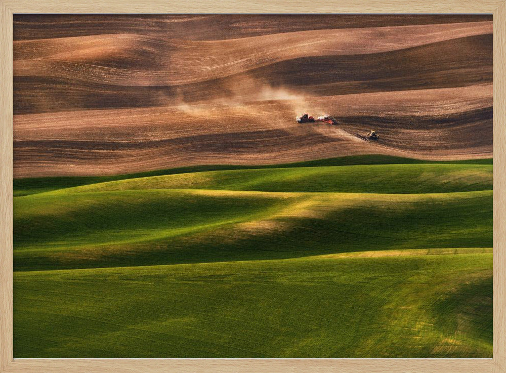 Landbouwgrond | Poster