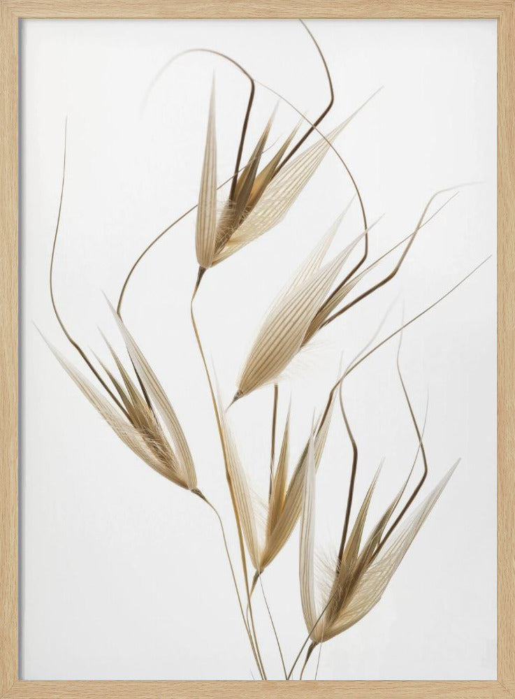 Delicatesse van de natuur | Poster