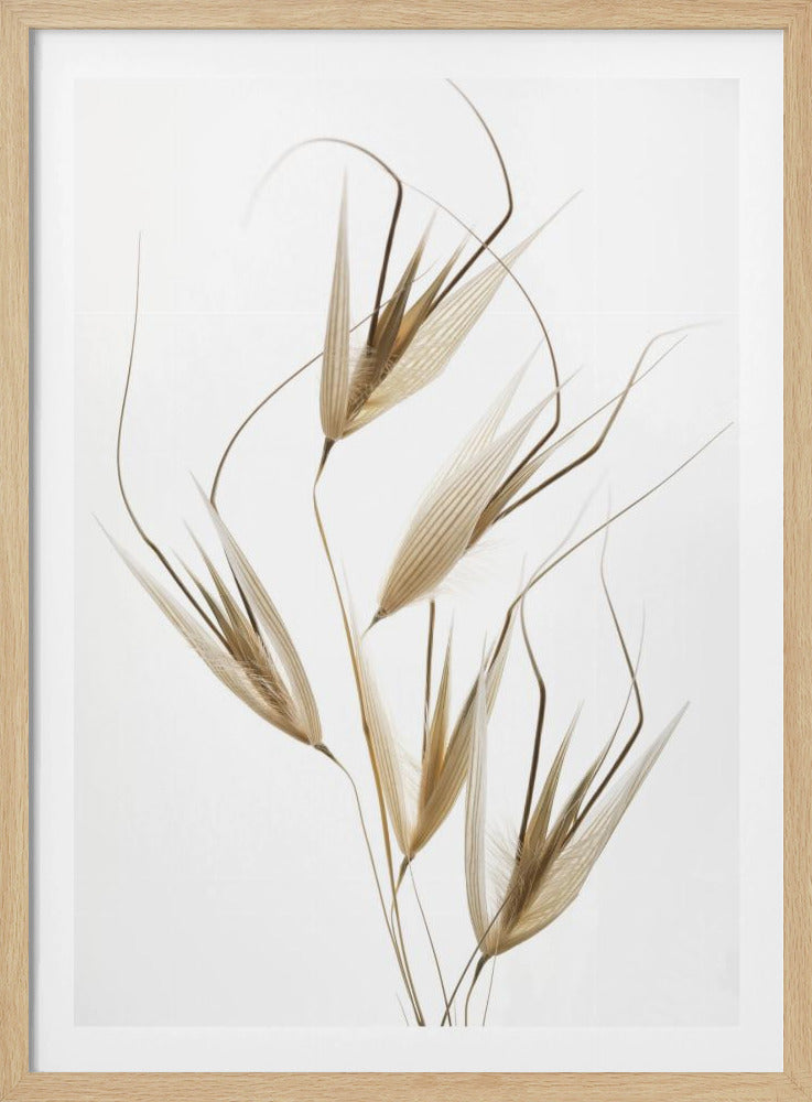 Delicatesse van de natuur | Poster