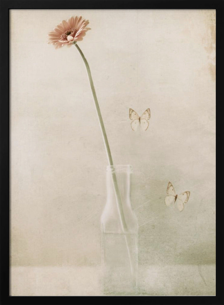 Miss Daisy | Poster