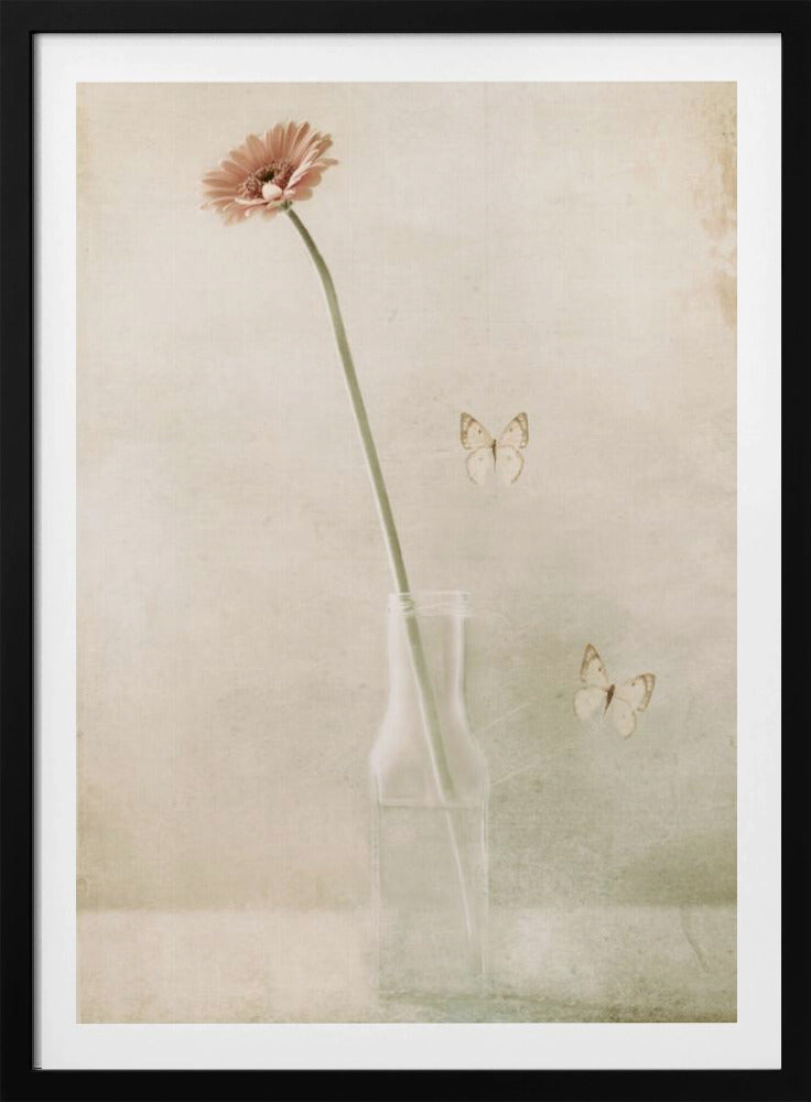 Miss Daisy | Poster