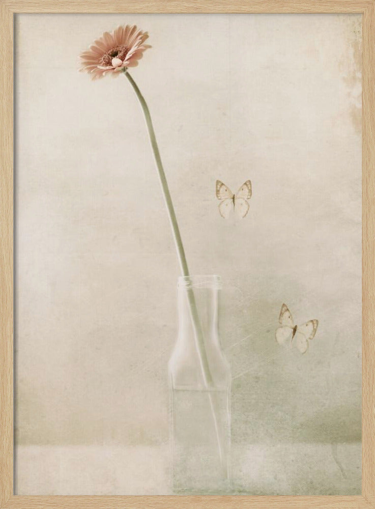 Miss Daisy | Poster