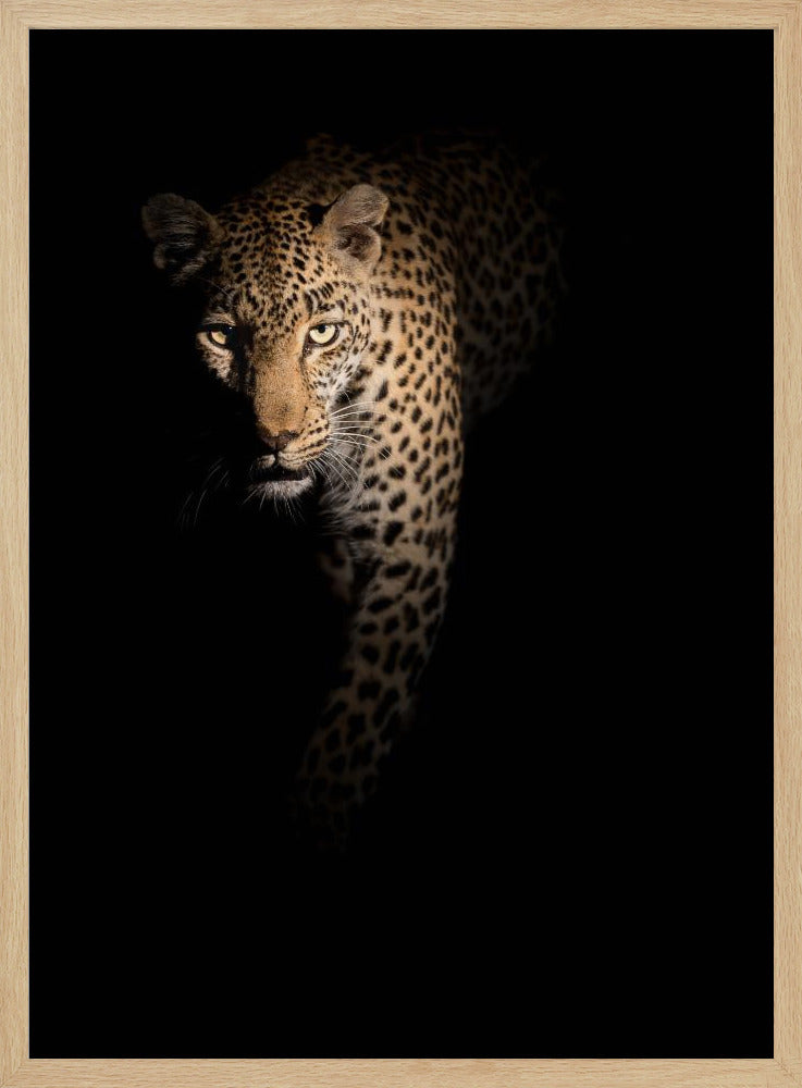 Uit de duisternis | Poster