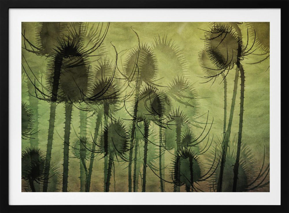 Wilde Kaardebol | Poster
