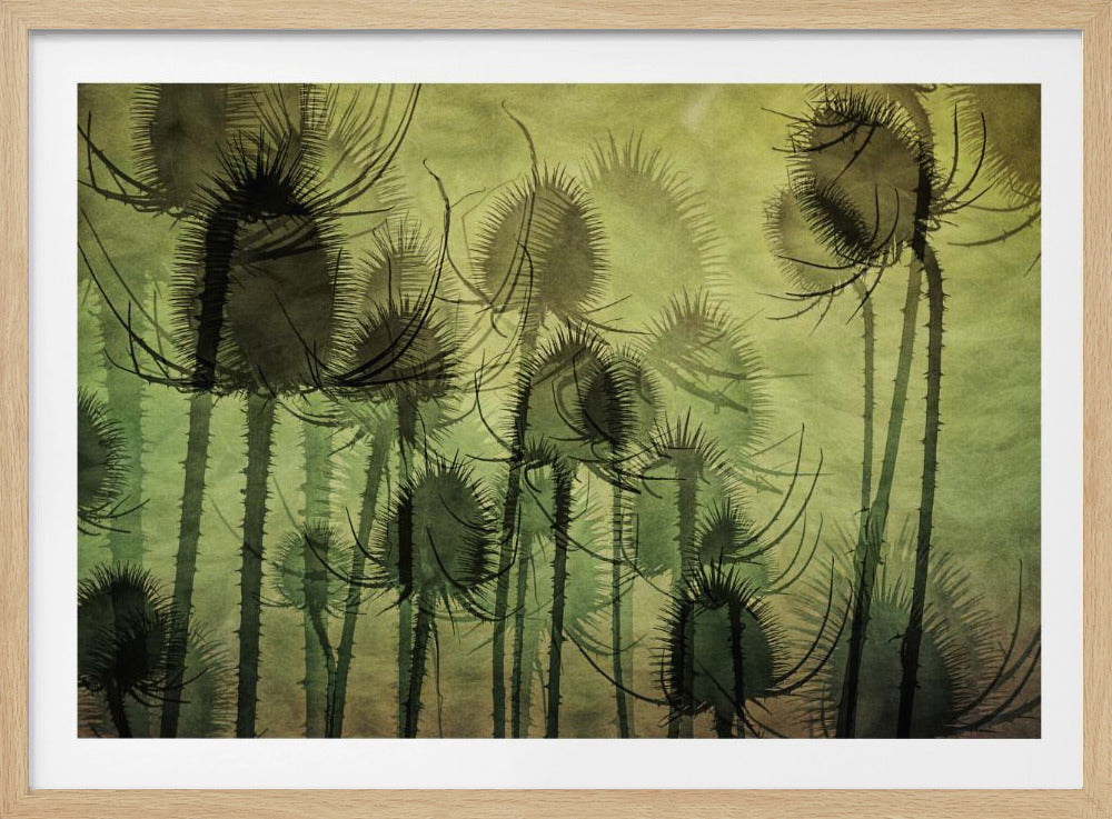 Wilde Kaardebol | Poster