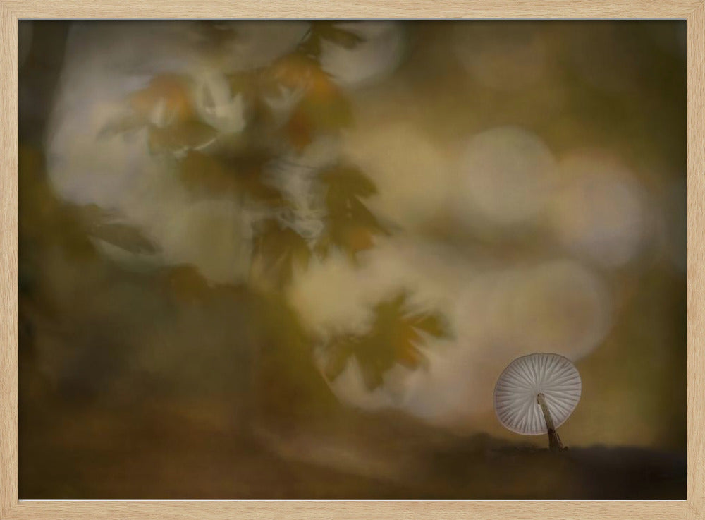 Herfstsfeer | Poster