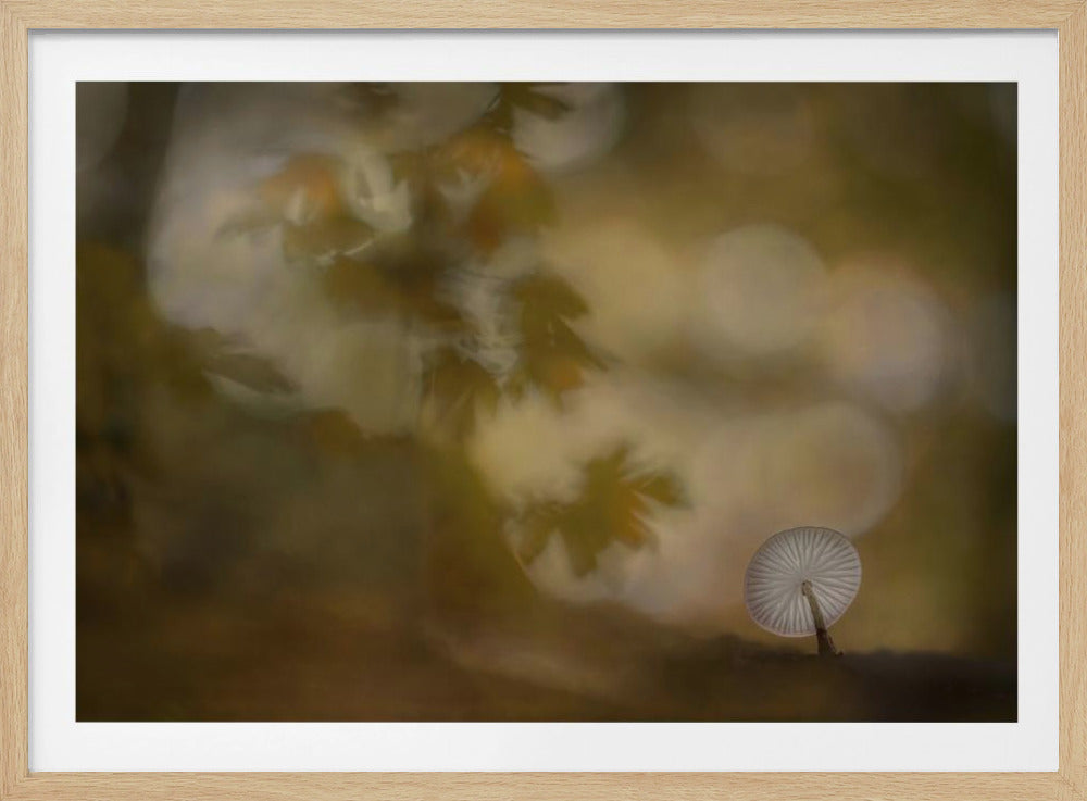 Herfstsfeer | Poster
