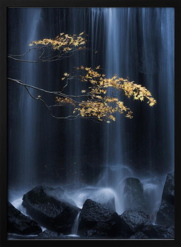 Gele herfst | Poster