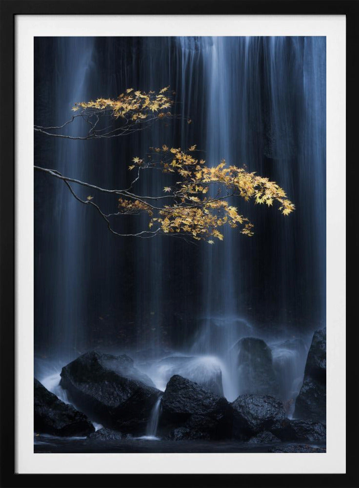 Gele herfst | Poster