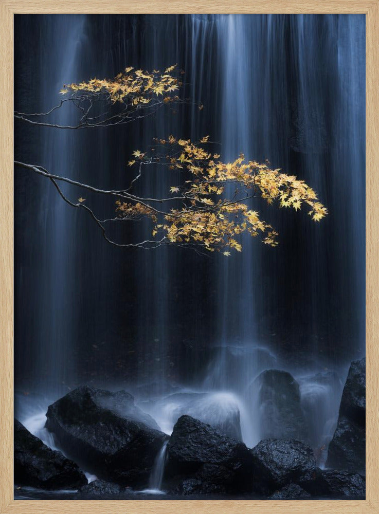 Gele herfst | Poster