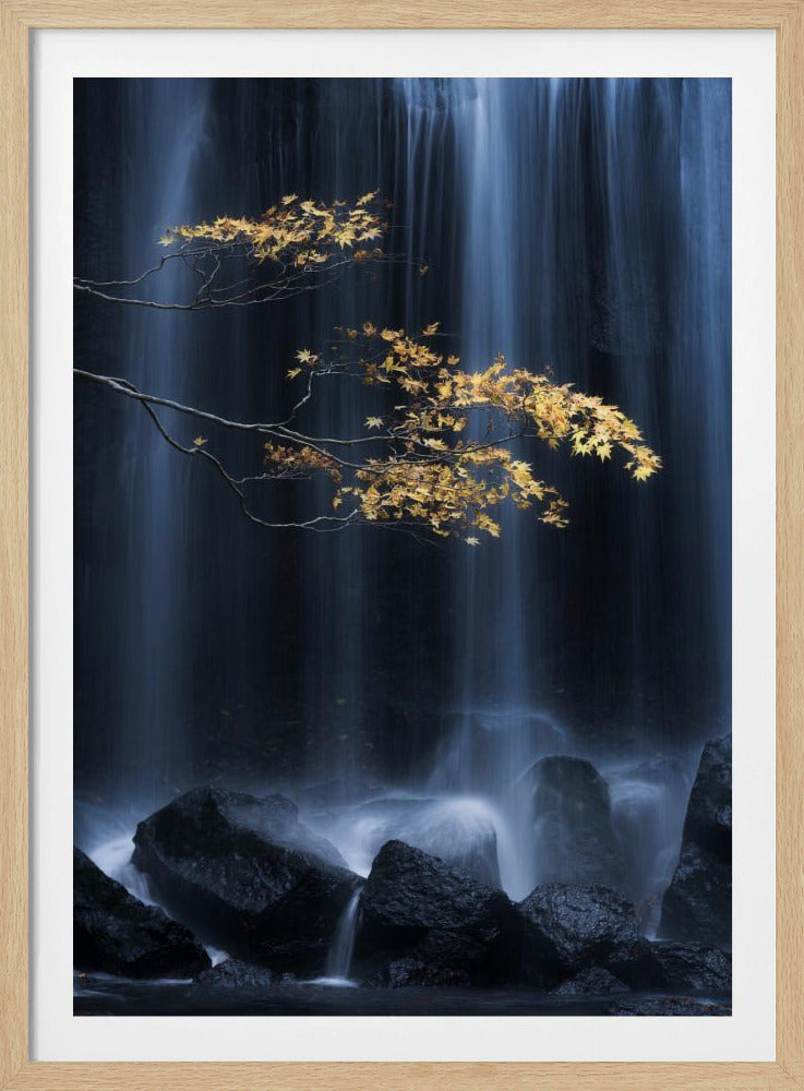 Gele herfst | Poster
