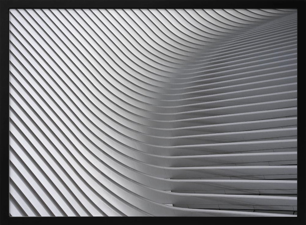 Calatrava Curves #2 | Poster